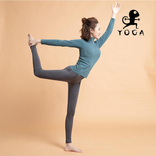 【七十二小时发货】壁虎瑜伽【2110SY0111】半高领加绒高弹长袖（有胸垫） 商品图7