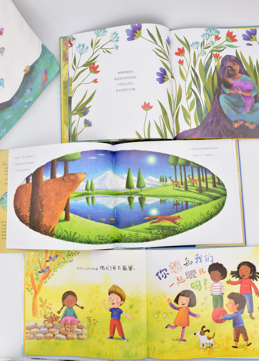 爱语奇迹系列绘本3册《小小话语力量大》《晨星之歌》《你就是奇迹》 商品图1