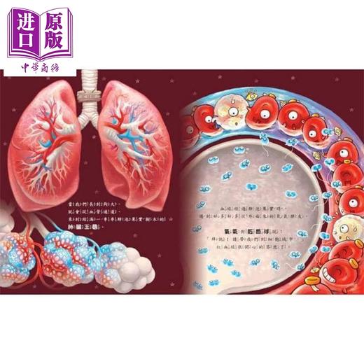 【中商原版】心脏噗通噗通：血液的身体大冒险 李昭乙 童梦馆 港台原版 儿童知识绘本 青少年文学图画书 3-8岁 商品图2