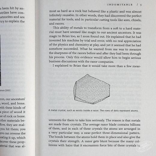 【中商原版】迷人的材料 英文原版 Stuff Matters 10种改变世界的神奇物质 商品图7