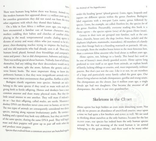 人类简史 从动物到上帝 英文原版 Sapiens:A Brief History of Humankind 世界通史 以色列历史学家尤瓦尔 赫拉利 Harari 商品图4