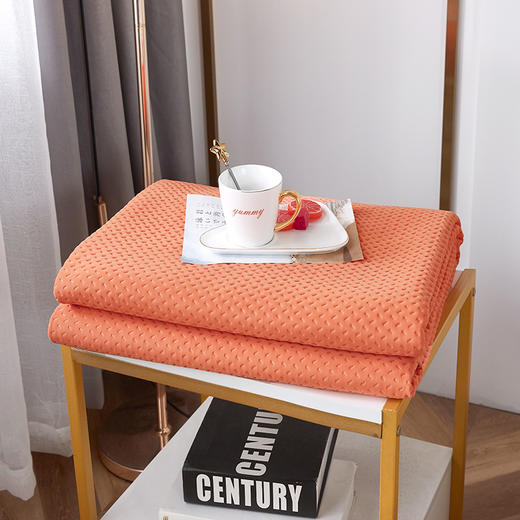 【欧贝尔返场】超声波夏被 商品图0