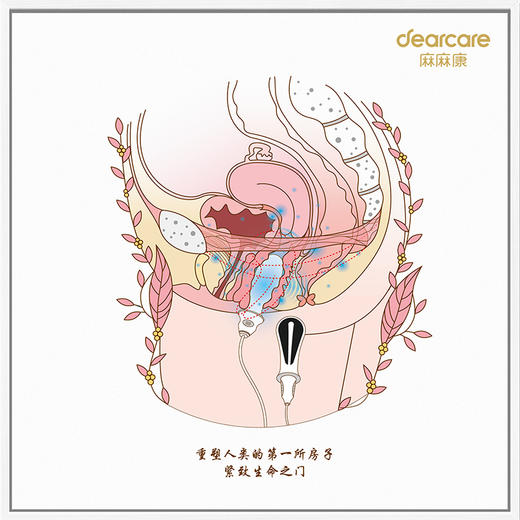 产后康复人体解剖艺术壁画9个主题-盆底肌、腹直肌、胸部等 商品图2