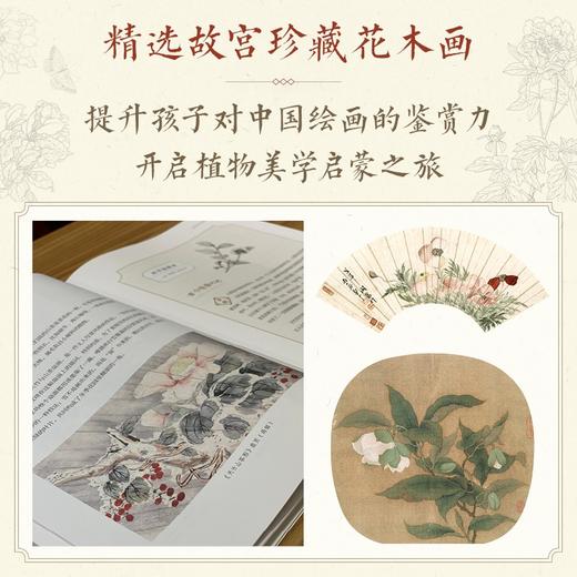 故宫里的植物课:给孩子的植物美学启蒙 商品图4