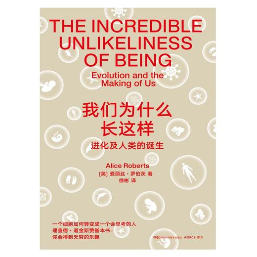 我们为什么长这样 商品图1