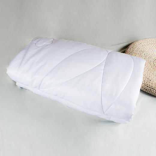 躺着做艾灸 睡着做玫瑰SPA 玫瑰精油艾绒被 1.8*2m【非质量问题不退不换】 商品图0