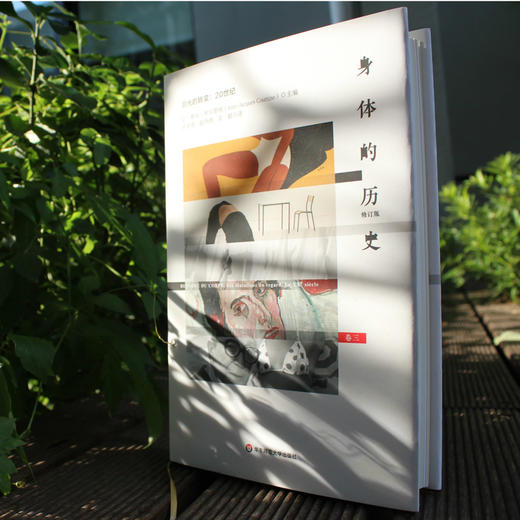 身体的历史（三卷本）3册套 傅雷翻译奖入围作品 西方完整的关于身体研究的文化史作品 商品图4
