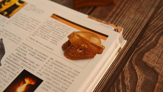 《DK科学大百科》 引进自英国DK出版社——全球百科图书的开创者和引领者 科学的视觉盛宴 商品图8