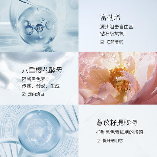 圣珂兰 雪润焕彩 保湿精粹爽肤水 商品图2