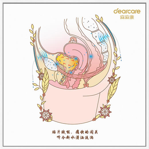 产后康复人体解剖艺术壁画9个主题-盆底肌、腹直肌、胸部等 商品图4