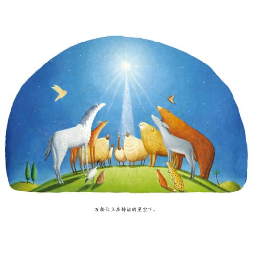 《晨星之歌》精装绘本 商品图1