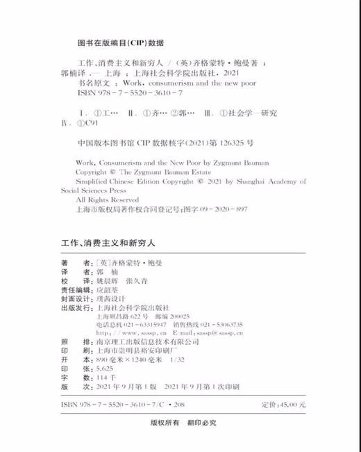 工作.消费主义和新穷人 商品图1