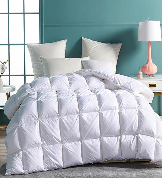 【欧贝尔返场】石墨烯蓄热被 商品图1