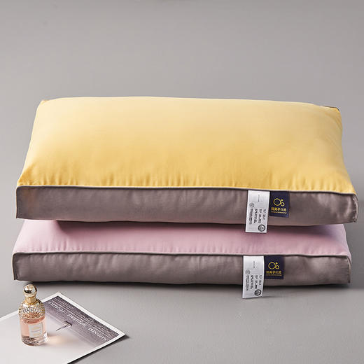 【欧贝尔专场】阳离子抑菌恒压枕 商品图0