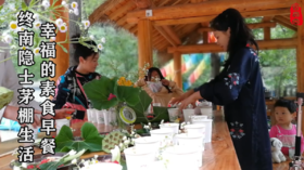 2017年终南山寻访隐士之旅记实