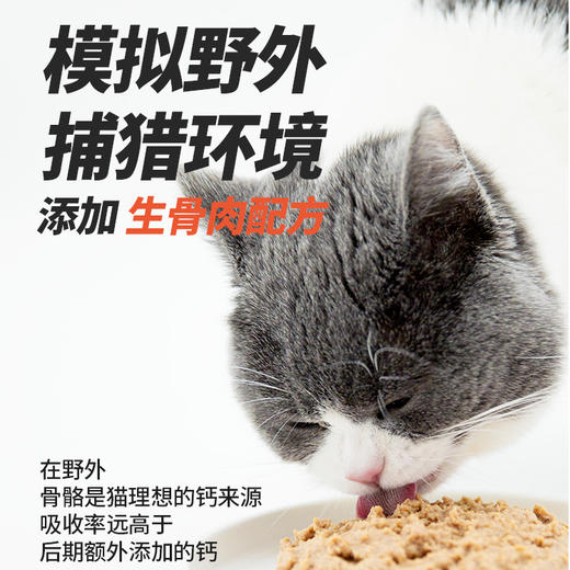 【布兰德】软罐头理想营养主食包增肥发腮宠物猫100g 商品图1