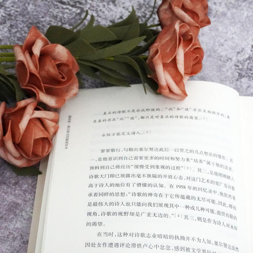 路易斯 塞尔努达诗歌批评本 十九首诗歌批评本丛书 西班牙语诗人塞尔努达诗学 商品图3