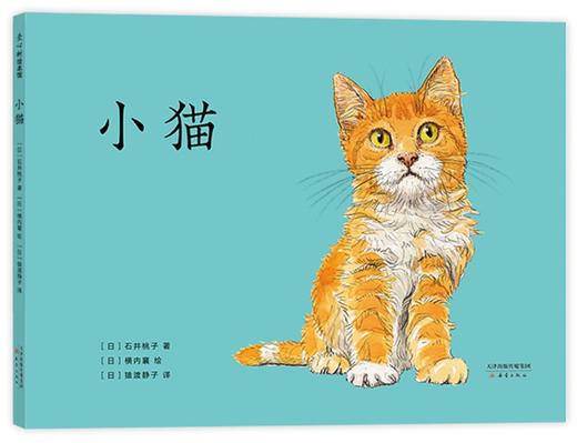 小猫 商品图0