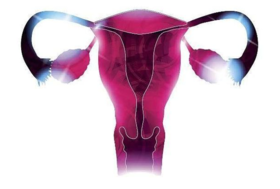 女人这里越黑，子宫越脏！炎症越大！ 