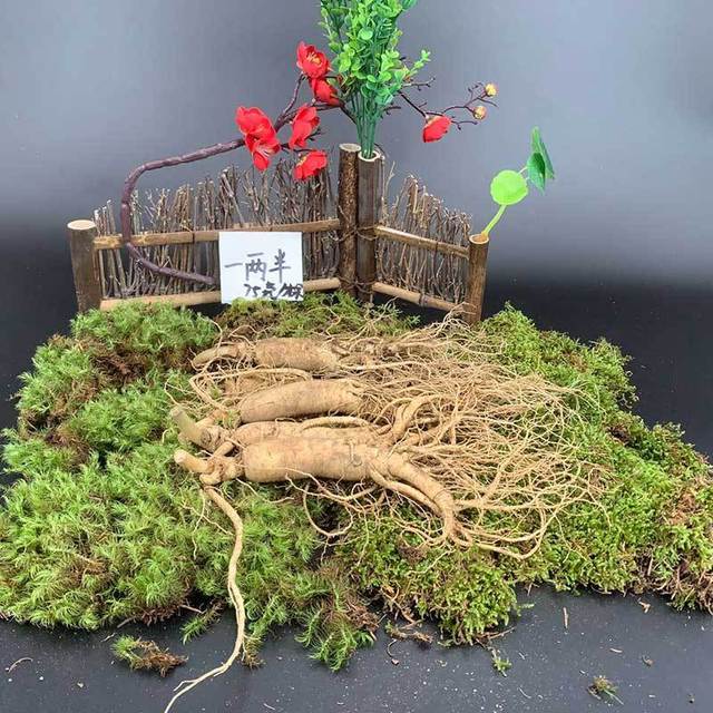 【食品酒水】东北特产长白山人参带土鲜参多规格多用途