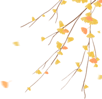 茶不用太贵，合适就好！