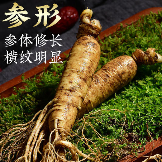【食品酒水】新鲜人参长白山人参500g泡酒滋补煲汤东北特产 商品图2