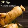 【食品酒水】新鲜人参长白山人参500g泡酒滋补煲汤东北特产 商品缩略图1