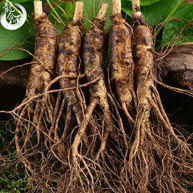 【食品酒水】鲜人参500g长白山人参带土鲜参泡酒煲汤参坏包赔现挖现卖