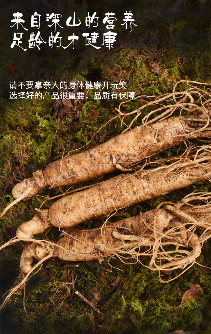 食品酒水吉林产地长白山鲜人参20克颗泡酒煲汤参东北带土鲜人参