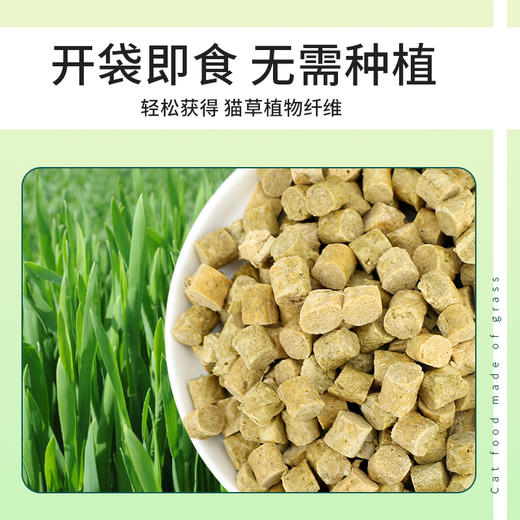 路斯猫冻干肉粒猫草化毛球片 商品图3