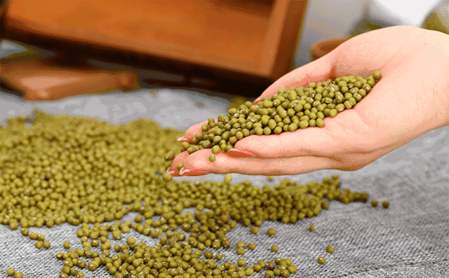 食材挑选大全之——绿豆