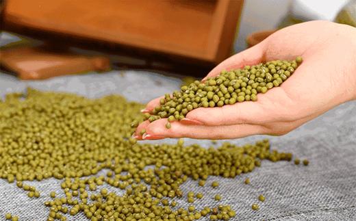 食材挑选大全之——绿豆 商品图0