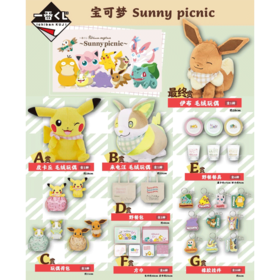 【最终赏】一番赏 宝可梦 Sunny Picnic 野餐主题 90抽/套