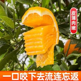 【屈乡脐橙-纽荷尔脐橙】湖北秭归 新鲜当季水果 现摘现发 脐橙纽荷尔 甘甜多汁  补充维C
