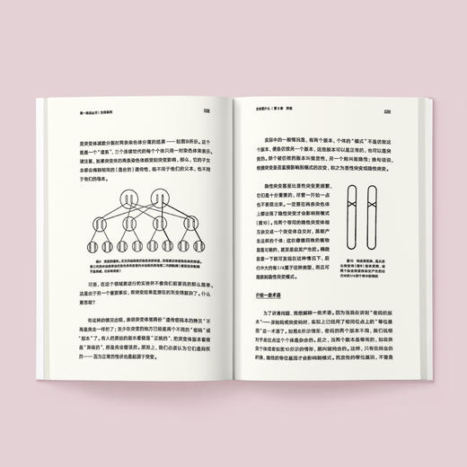 《第一推动丛书·生命系列：生命是什么》 商品图2