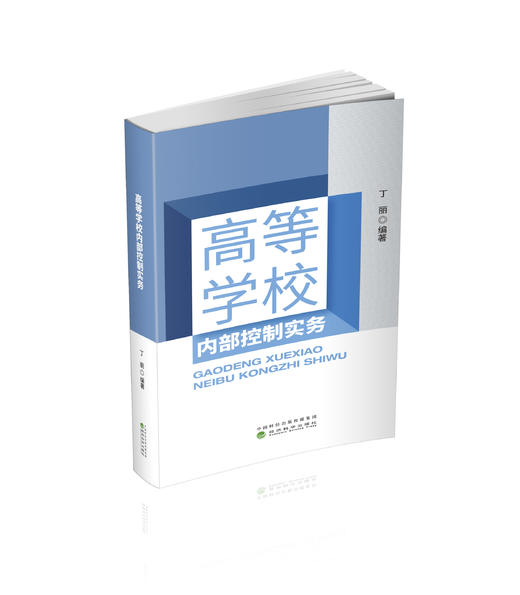 高等学校内部控制实务 商品图0