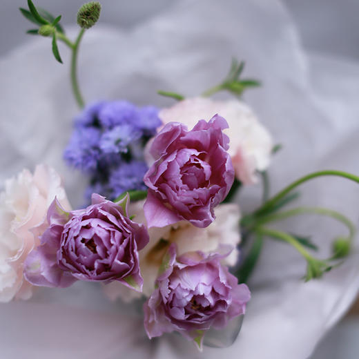 天蝎座花束(十二星座随心定制系列)