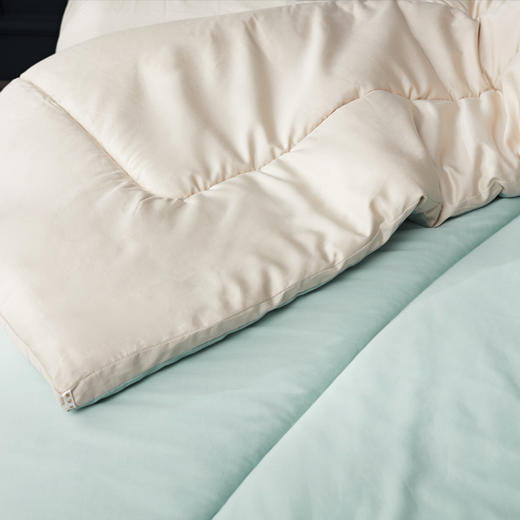 利路米35度新氧澳毛保暖冬被两色随机发货 商品图1