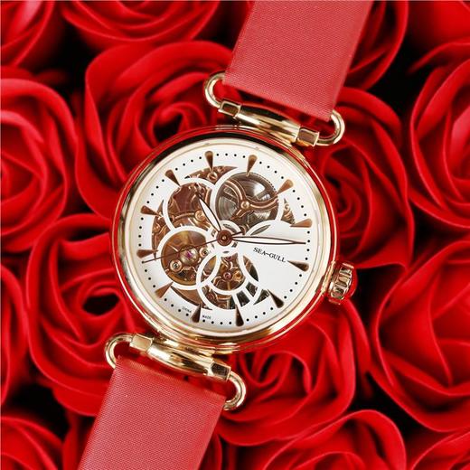 海鸥Seagull时光女神自动机械女士手表镂空防水时尚D513.634L 商品图0