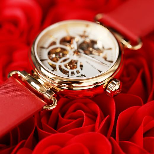 海鸥Seagull时光女神自动机械女士手表镂空防水时尚D513.634L 商品图1