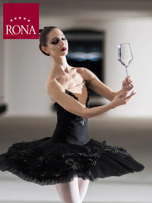 RONA/洛娜 捷克芭蕾系列水晶葡萄酒杯醒酒器 商品图3