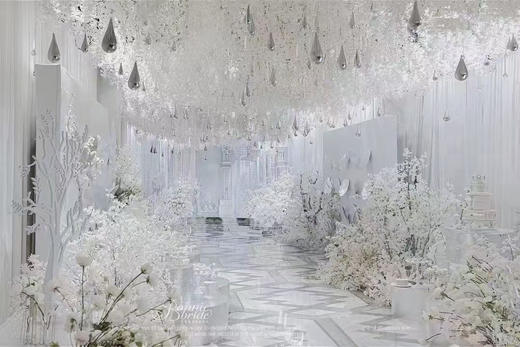 天使之泪【运费自理】 商品图4