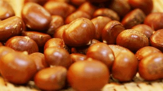 食材挑选大全之——板栗 商品图0