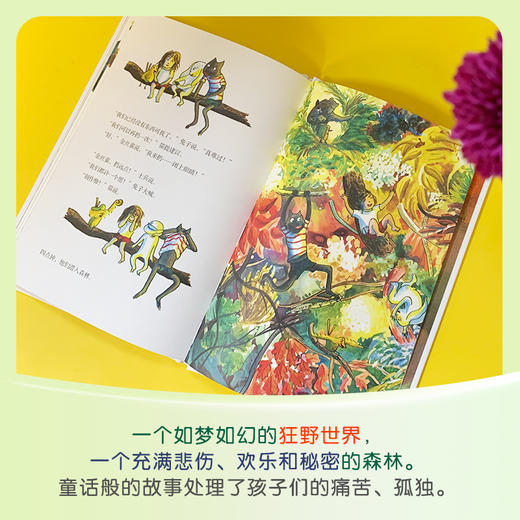 彼此间的森林 博洛尼亚书展最佳童书奖 精装版3001145 商品图2