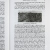 【中商原版】夏日走过山间 豆瓣阅读 英文原版 My First Summer in the Sierra 商品缩略图6