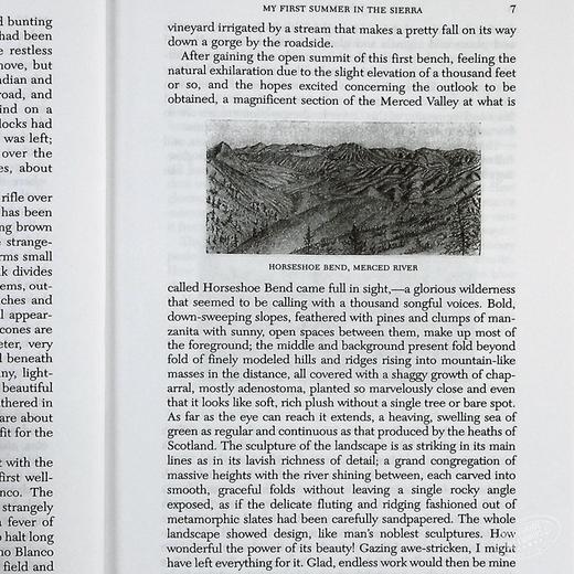 【中商原版】夏日走过山间 豆瓣阅读 英文原版 My First Summer in the Sierra 商品图6