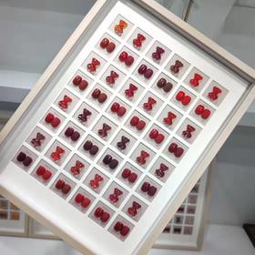 维尼熊 24色 【印象红】（秒杀）