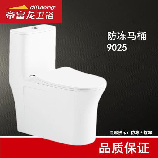 帝富龙 防冻坐便器 9025-400坑距 商品图0