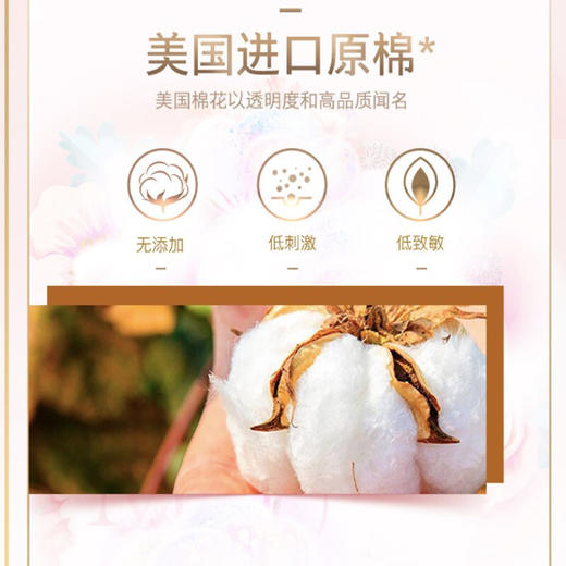 苏菲Sofy 裸感S进口原棉贵族棉系列日用卫生巾250mm 12片 超薄柔软无感量多日用姨妈巾 商品图4