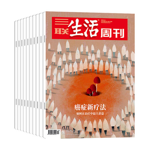 《三联生活周刊》2025全年刊 52期 商品图0